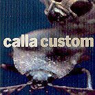 Calla - Custom: Remix Project (LP)