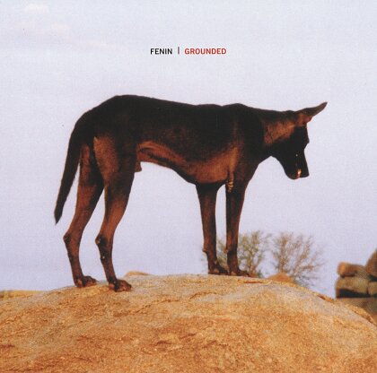 Fenin - Grounded (LP)