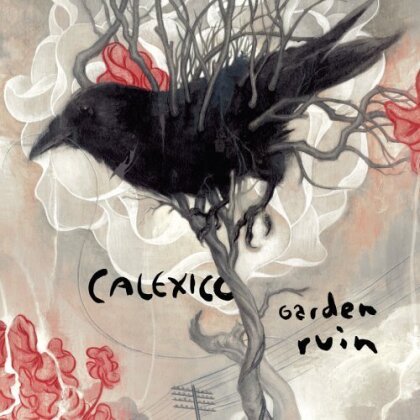Calexico - Garden Ruin (LP)