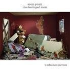 Sonic Youth - Destroyed Room: B-Sides & Rarities (LP)