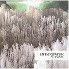 Shearwater - Palo Santo (Expanded Edition, 2 LPs)