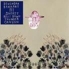 Devendra Banhart - Smokey Rolls Down Thunder Canyon (LP)