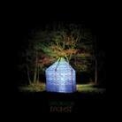 Dan Deacon - Bromst (LP)