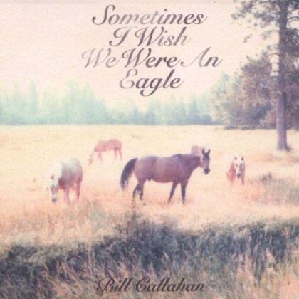 Bill Callahan (Smog) - Sometimes I Wish We Were An Eagle (LP)