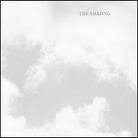 The Amazing - --- (LP)