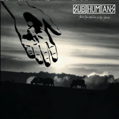 Subhumans - From The Cradle To The Grave (LP)