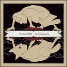 Villagers - Becoming A Jackal (LP)