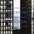 Efdemin - Chicago (LP)