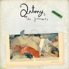 Antony & The Johnsons - Swanlights (LP)