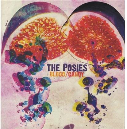 The Posies - Blood Candy (LP + Digital Copy)
