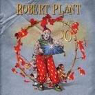 Robert Plant - Band Of Joy (LP)