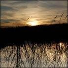 Anthony Green - Avalon (LP)