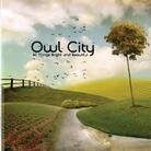 Owl City - All Things Bright & Beautiful (LP)