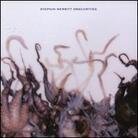 Stephin Merritt - Obscurities (LP)