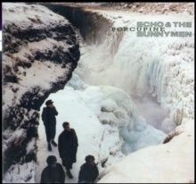 Echo & The Bunnymen - Porcupine - Reissue (LP)