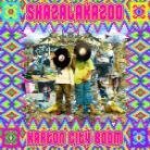Shazalakazoo - Karton City Boom (LP)