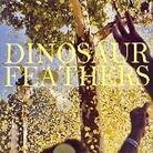 Dinosaur Feathers - Whistle Tips (LP)