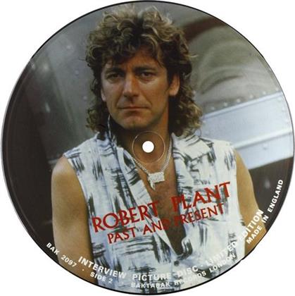 Robert Plant - Interview - Picture Disc (LP)