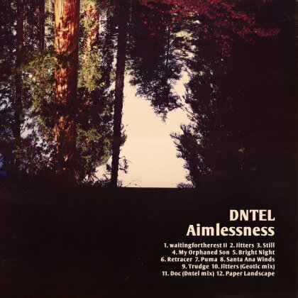 Dntel (Postal Service Member) - Aimlessness (LP + CD)