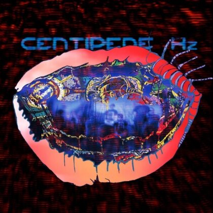 Animal Collective - Centipede Hz (LP + Digital Copy)
