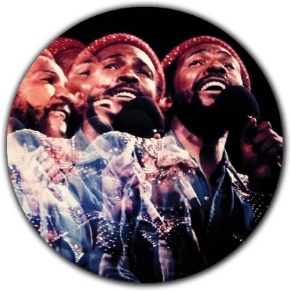 Marvin Gaye - Live - Picture Disc (LP)