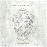 Marco Benevento - Tigerface (LP)