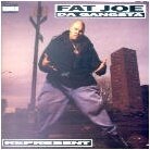 Fat Joe - Represent (LP)