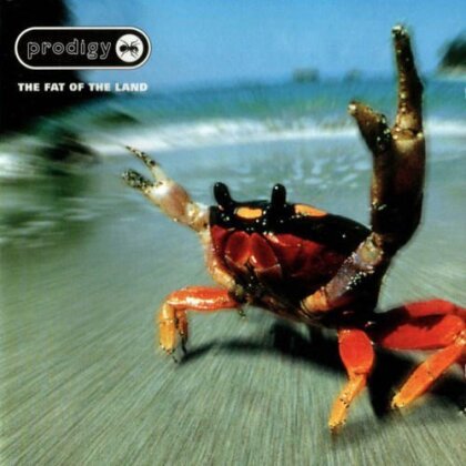 The Prodigy - Fat Of The Land (2 LP)