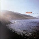 Incubus - Morning View (LP)