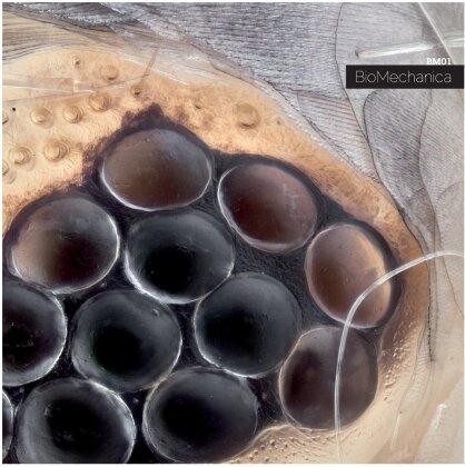 Biomechanical - Bm-01 (LP)