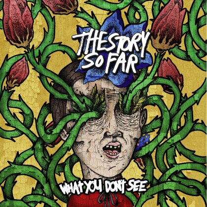 The Story So Far - What You Don't See (LP)