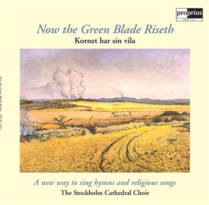 Stockholm Cathedral Choir & Sjok - Now The Green Blade Riseth (LP)