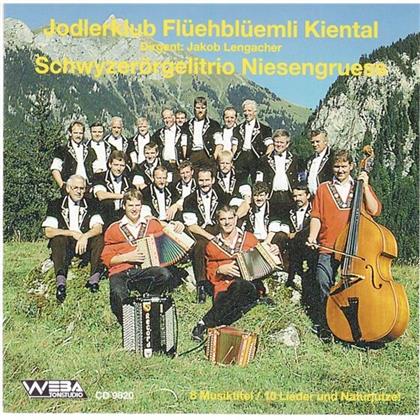 Flüehblüemli Kiental JK - ---