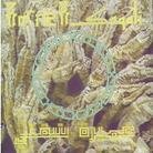 Amira Saqati - Agdal Reptiles