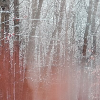 Seaworthy & Taylor Deupree - Wood Winter Hollow