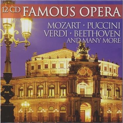 Various - Famous Opera (12 CDs)