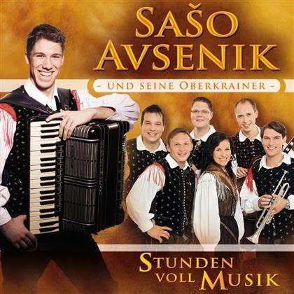 Saso Avsenik Und Seine Oberkrainer - Stunden Voll Musik