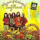 Leaf Hound - Growers Of Mushroom (LP)