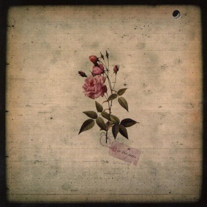 In The Pines - --- (LP)