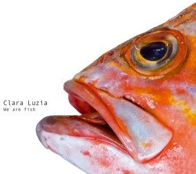 Clara Luzia - We Are Fish (LP)