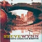 Steve Wynn - Crossing Dragon Bridge (LP)
