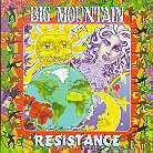 Big Mountain - Resitance