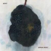 Holmes - Burning Bridges (LP)