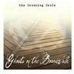 The Bouncing Souls - Ghosts On The Boardwalk (LP)