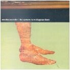Nine Days Wonder - Scenery Is In Disguise (LP)