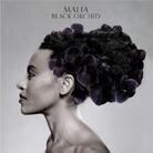 Malia - Black Orchid (LP)