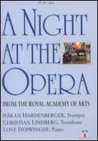 Various Artists - A night at the opera