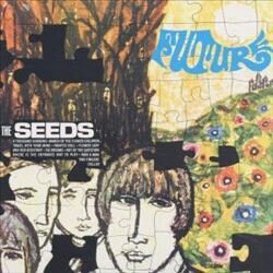 The Seeds - Future (LP)