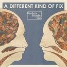 Bombay Bicycle Club - A Different Kind Of Fix (LP)