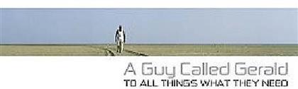 A Guy Called Gerald - To All Things What They (2 LPs)